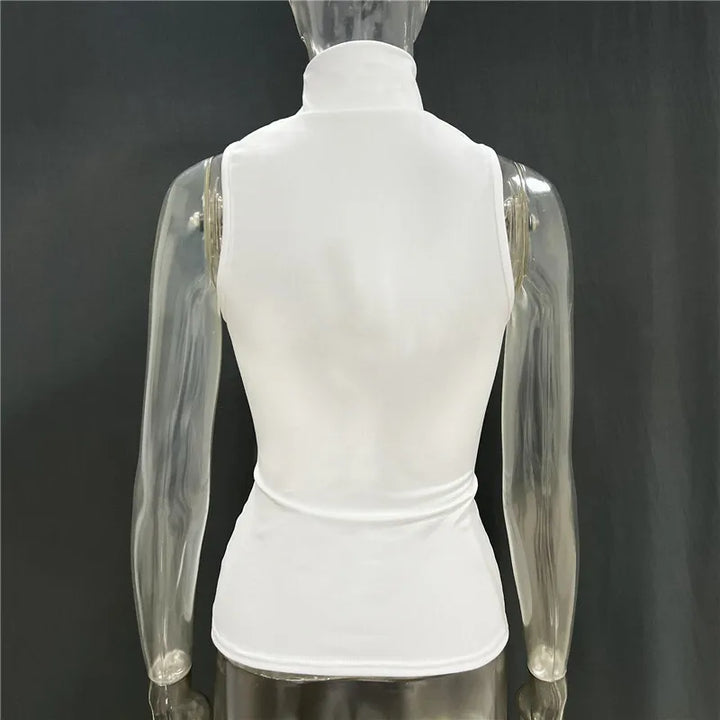 Turtleneck Skinny Knit Crop Top